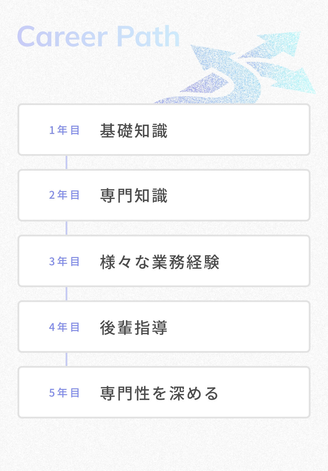 Career Path 1年目基礎知識 2年目専門知識 3年目様々な業務経験 4年目後輩指導 5年目専門性を深める